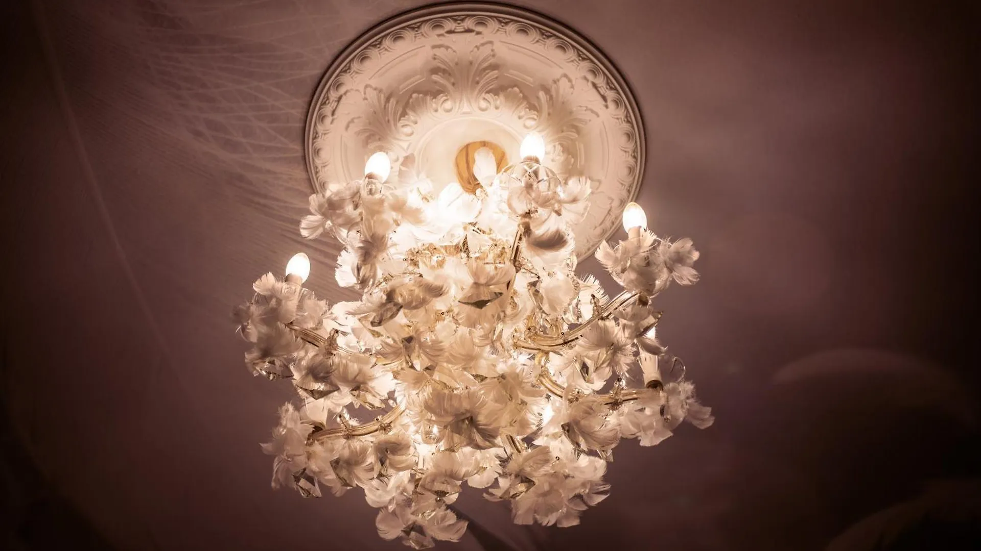 Boutiquehotel Donauwalzer Vienna Austria